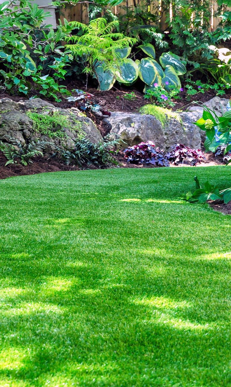 Paul Ward Landscape Maintenance