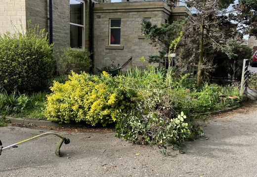 Garden Clearance 